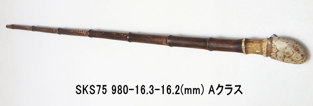 sks75.JPG