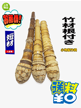 根付き小物製作用
