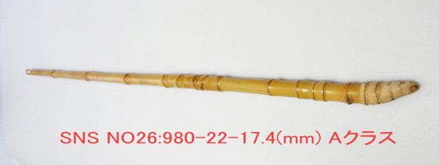 sns26.JPG
