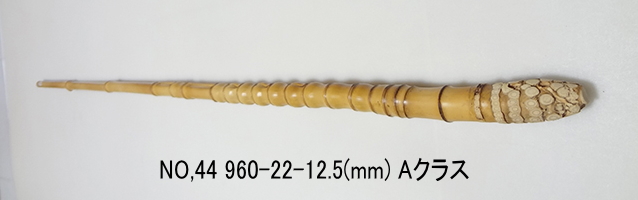 sns44.JPG