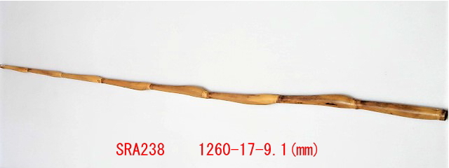 sra238.JPG