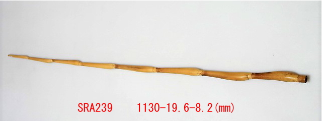 sra239.JPG