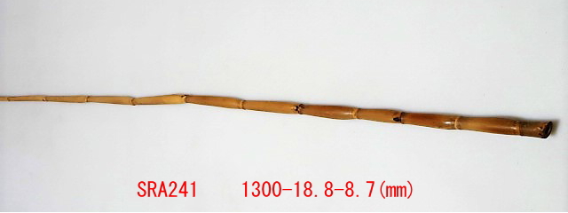 sra241.JPG