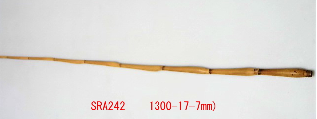 sra242.JPG