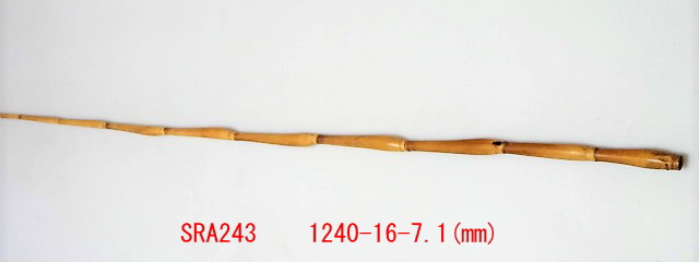 sra243.JPG
