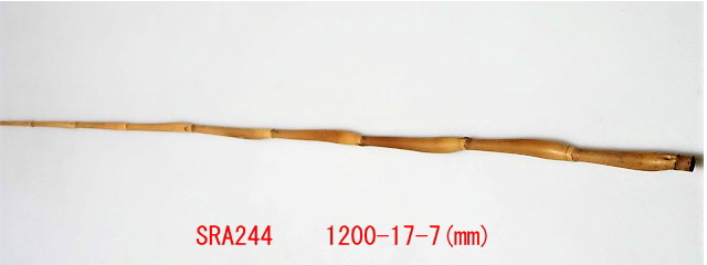 sra244.JPG