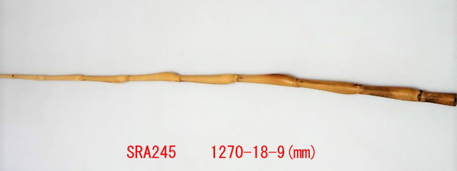 sra245.JPG