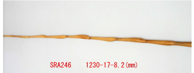 sra246.JPG