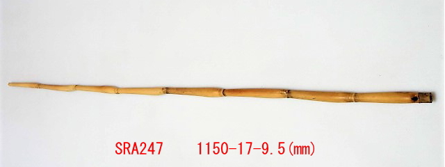 sra247.JPG