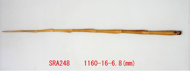 sra248.JPG