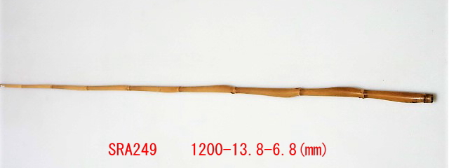 sra249.JPG