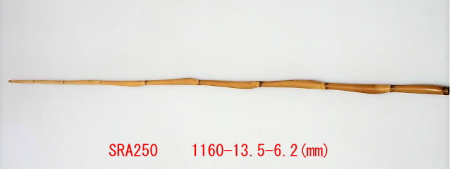 sra250.JPG