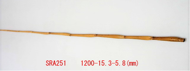 sra251.JPG