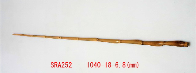 sra252.JPG