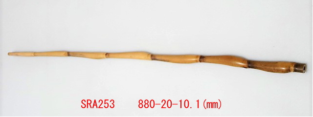sra253.JPG