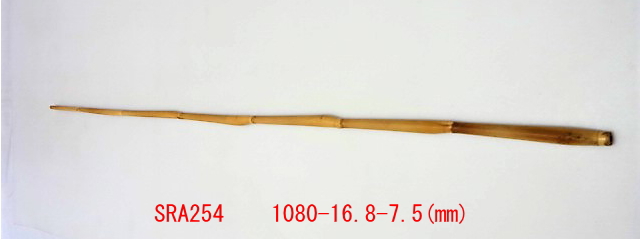 sra254.JPG