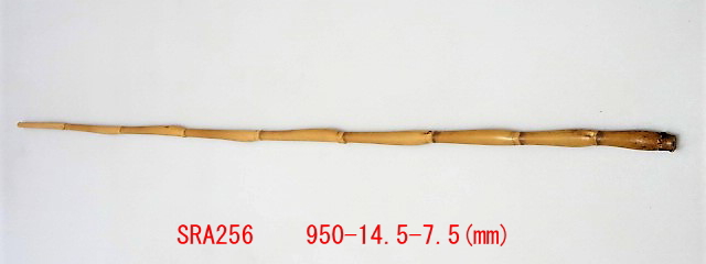 sra256.JPG