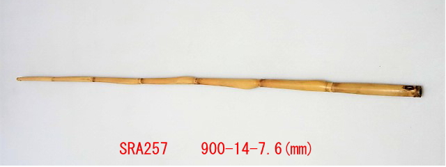 sra257.JPG