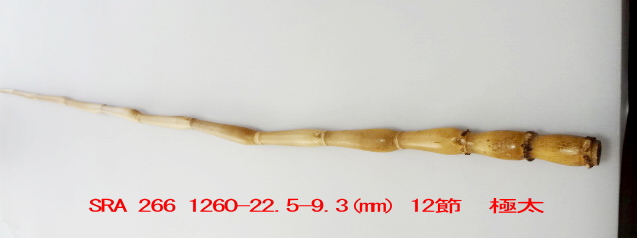 sra266.JPG