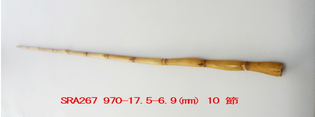 sra267.JPG
