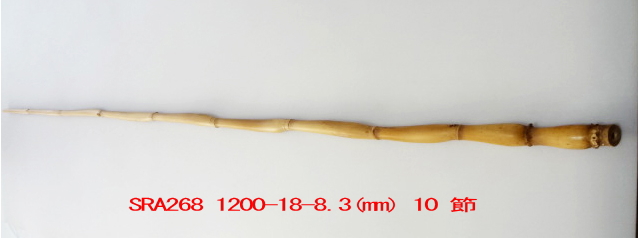 sra268.JPG