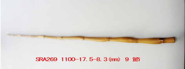 sra269.JPG