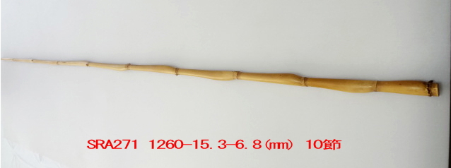 sra271.JPG