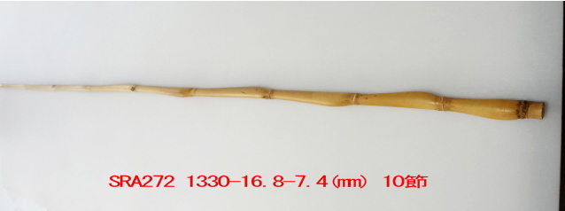 sra272.JPG