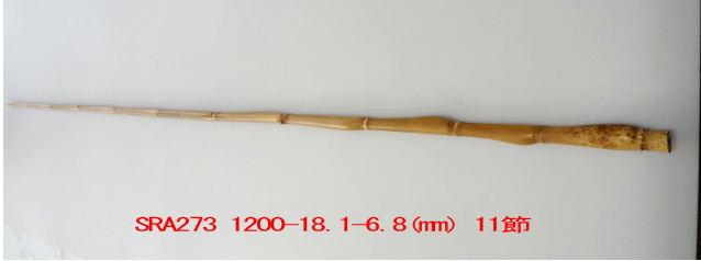 sra273.JPG