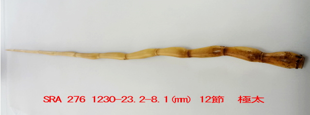 sra276.JPG