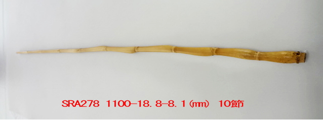 sra278.JPG
