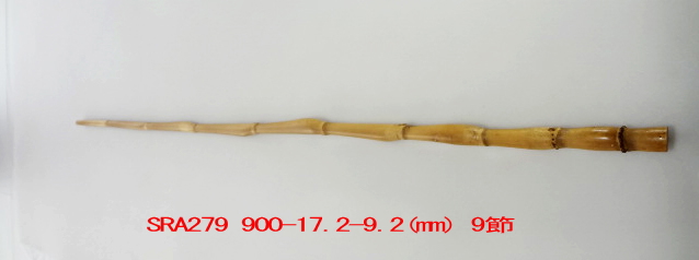 sra279.JPG