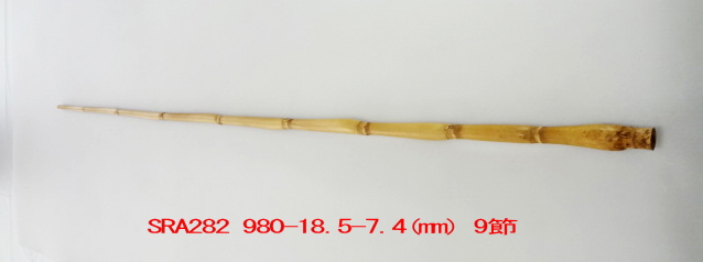 sra282.JPG