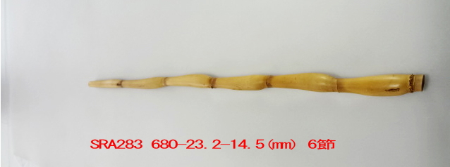 sra283.JPG