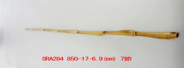 sra284.JPG