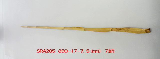 sra285.JPG
