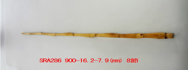 sra286.JPG
