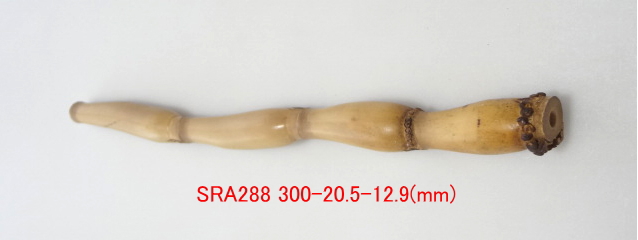 sra288.JPG