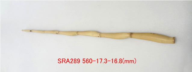 sra289.JPG