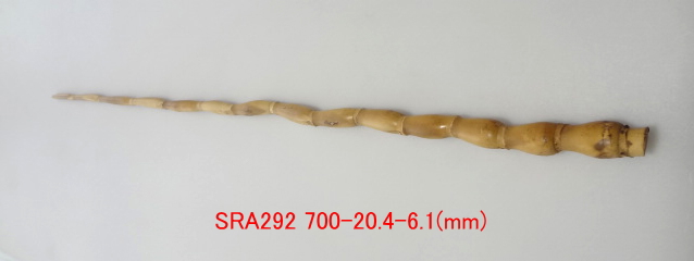 sra292.JPG