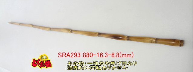 sra293.JPG