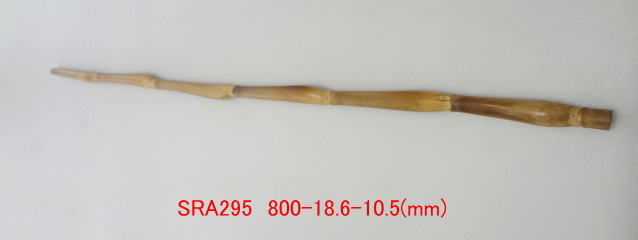 sra295.JPG