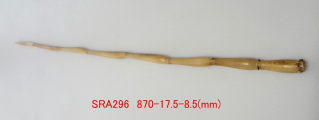 sra296.JPG