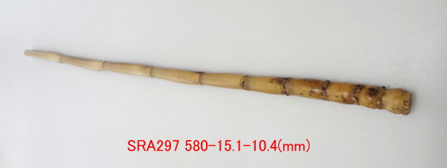 sra297.JPG