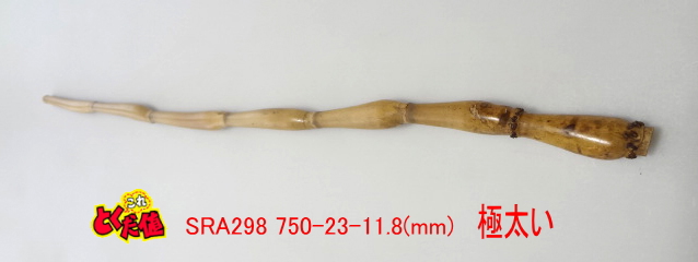 sra298.JPG