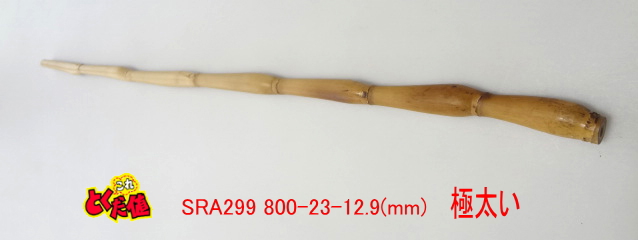 sra299.JPG