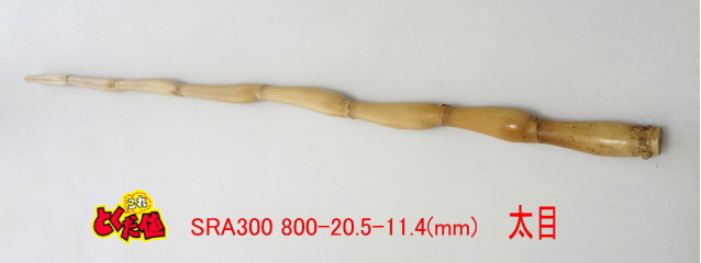 sra300.JPG