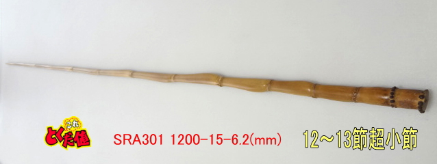 sra301.JPG