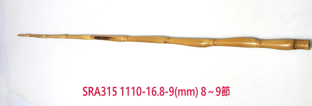 sra315.JPG