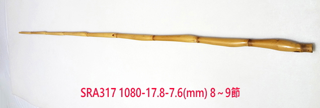 sra317.JPG
